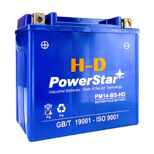 POWERSTAR PowerStar PS-14BS Motorcycle Battery for YTX14-BS Compatible With  BMW R1200G5