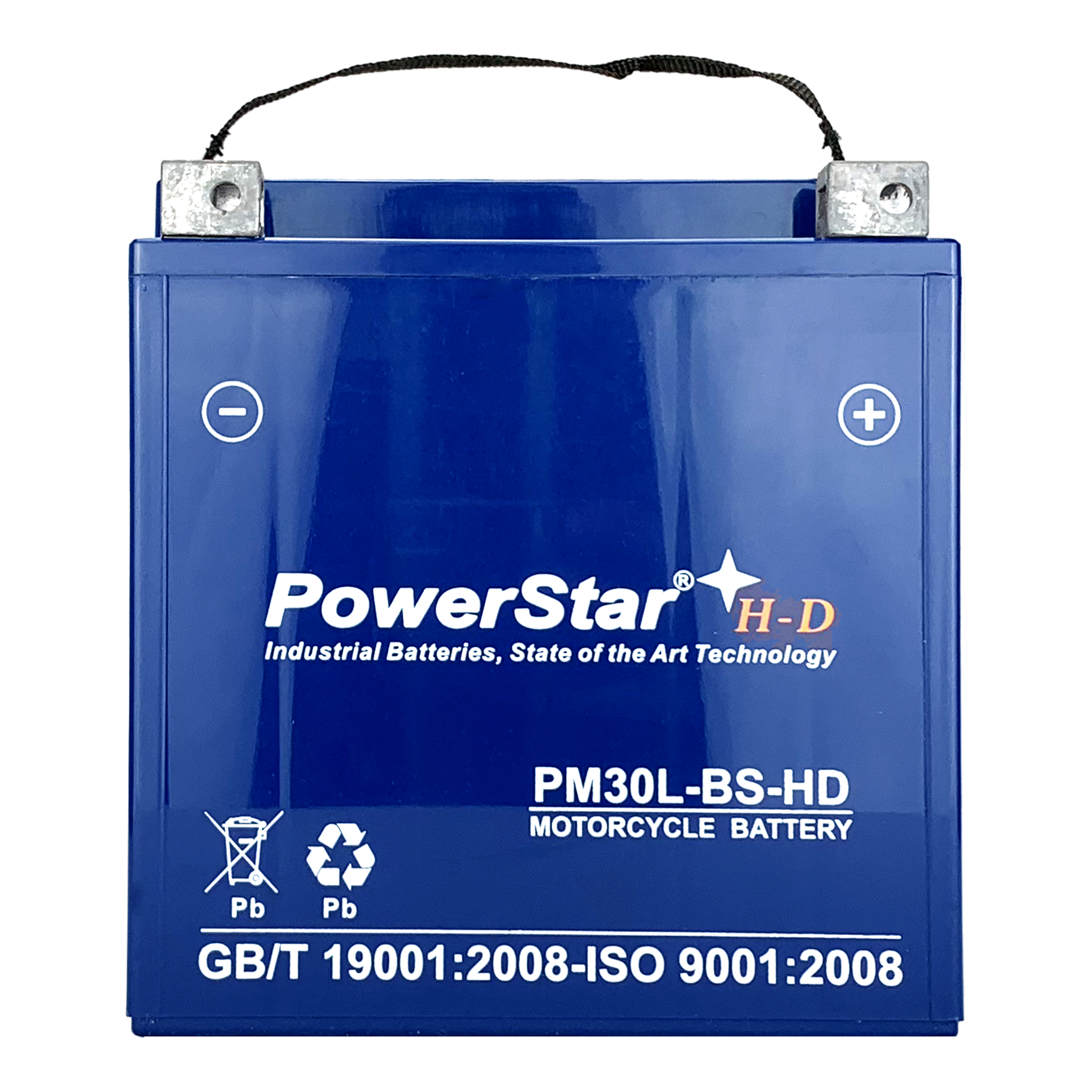 桜 印 PowerStar 交換用バッテリー ETX30LA Group BTX30L AGM すぐに使えるパワースポーツバッテリー 380 CCA 