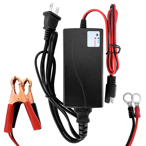 Banshee Lithium LiFePO4 12V 5A 2 Bay Charger Maintainer for Auto & Marine  Applications 